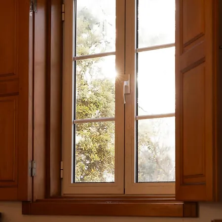 Casa Amarela, 9-room House Vakantiehuis